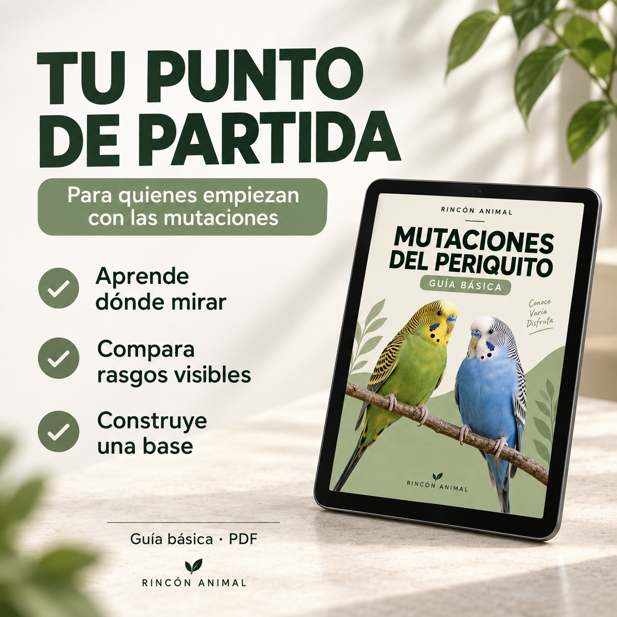 All Parakeet Mutations Course PDF