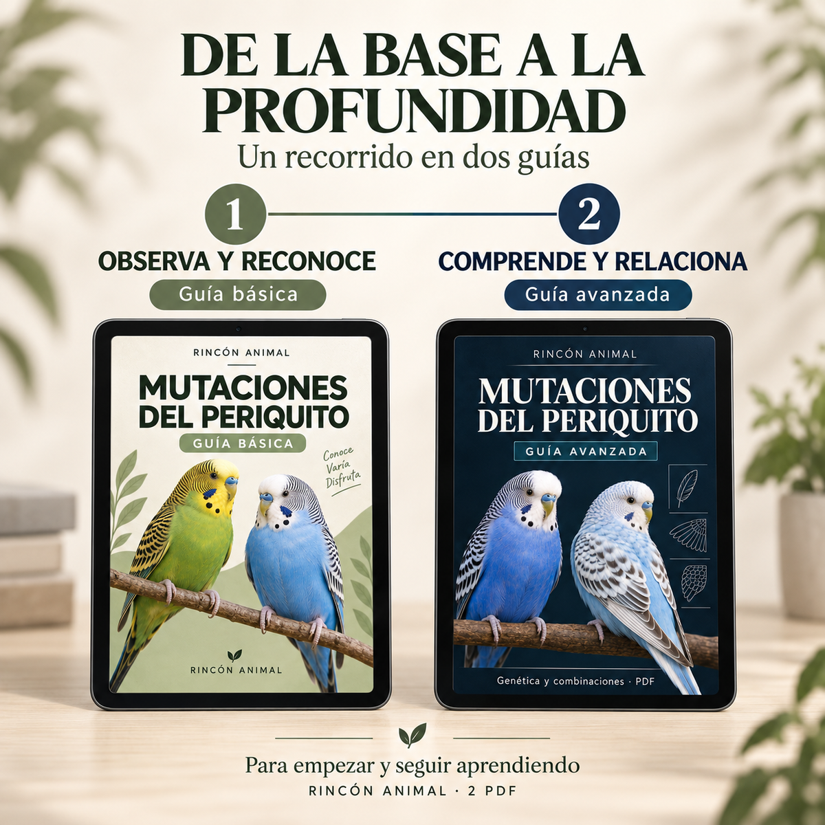 Pack de Mutaciones del Periquito: Guía Básica + Guía Avanzada (PDF)