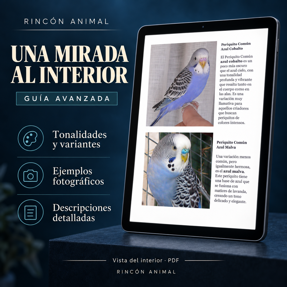 Guía Avanzada de Mutaciones del Periquito (PDF)