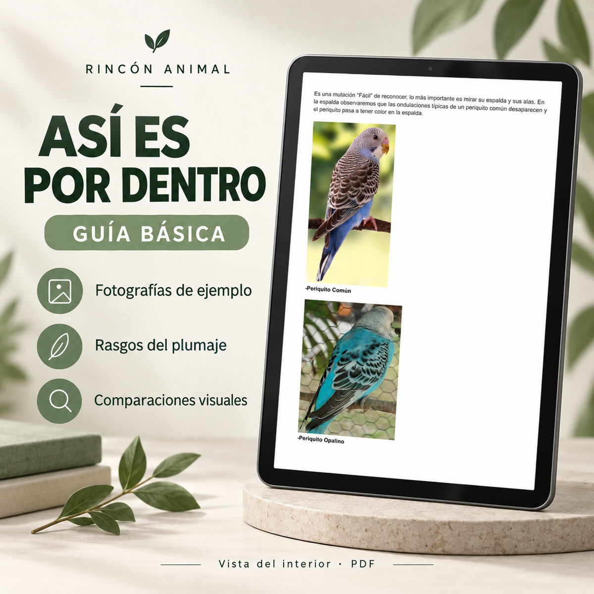 All Parakeet Mutations Course PDF