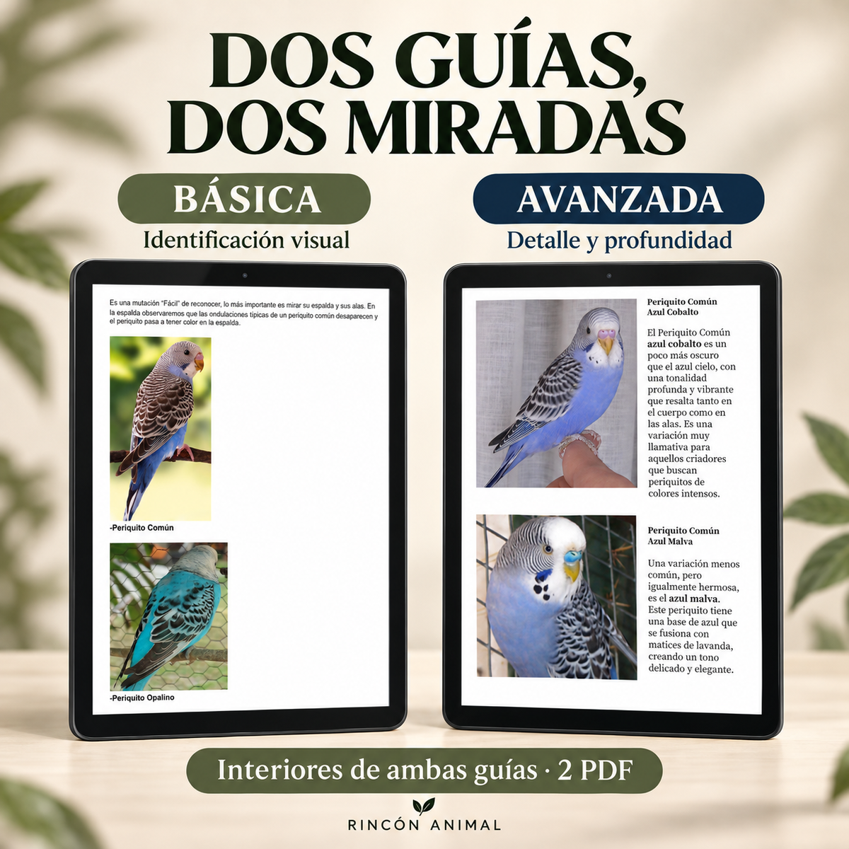 Pack de Mutaciones del Periquito: Guía Básica + Guía Avanzada (PDF)