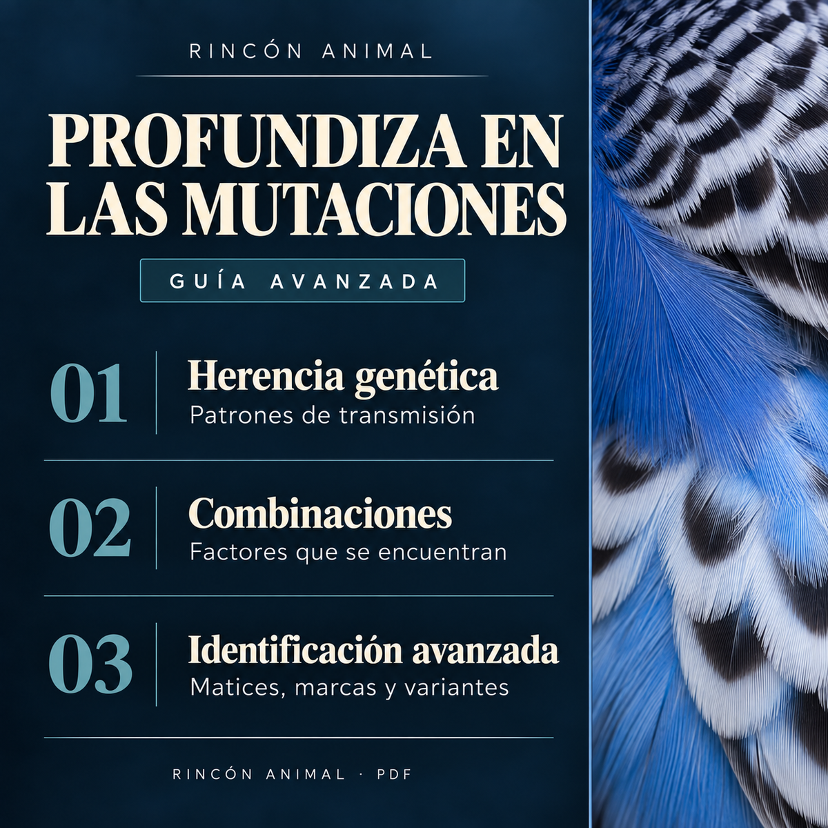 Guía Avanzada de Mutaciones del Periquito (PDF)