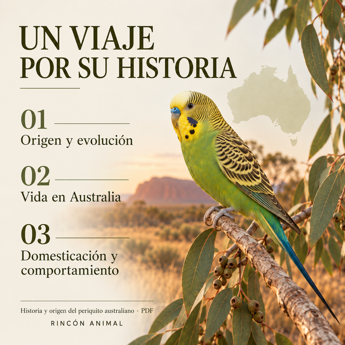 Historia y Origen del Periquito Australiano (PDF)