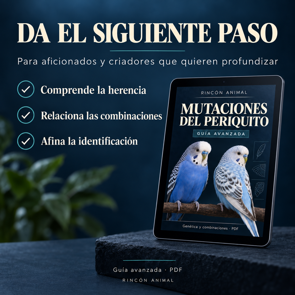 Guía Avanzada de Mutaciones del Periquito (PDF)